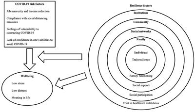 Frontiers | Risk And Resilience Factors During The COVID-19 Pandemic: A ...